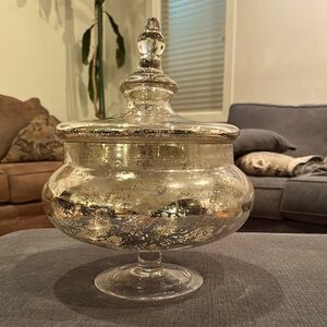 Elegant Silver Glass Apothecary Urn